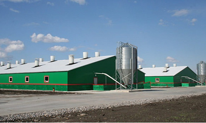 Свинокомплекс Уральский